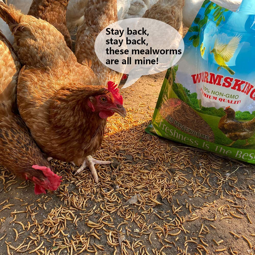 N2 mealworms resealable bag supports easy storage and freshness