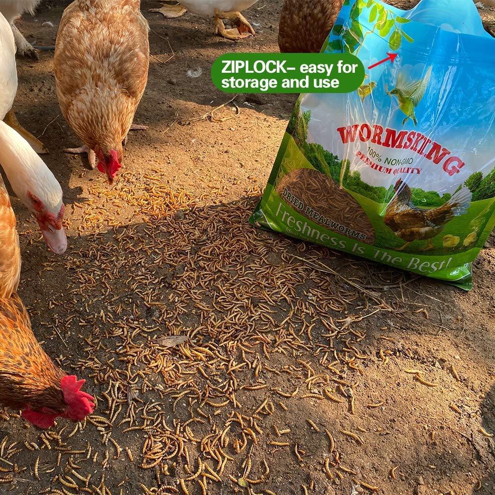N2 mealworms with whole larvae visible indicating quality and protein