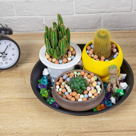 NABAOXUN durable PP resin plant drip tray for long-lasting use
