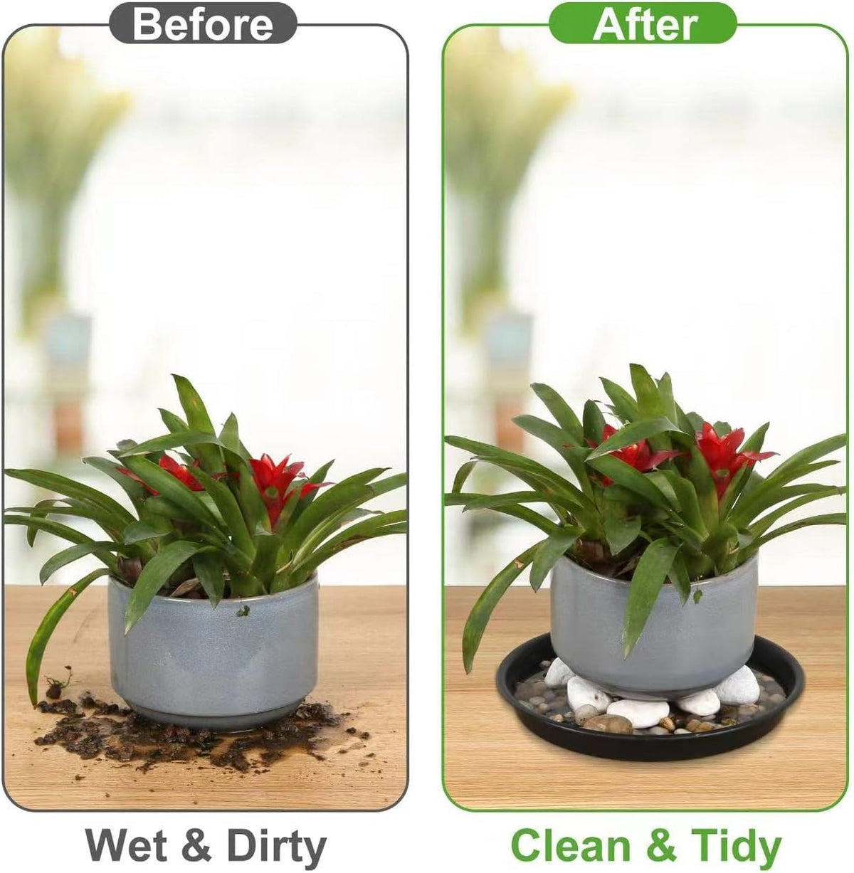 NABAOXUN 12-inch tray designed for optimal drainage and plant care