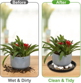 NABAOXUN 12-inch tray designed for optimal drainage and plant care