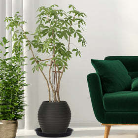 NABAOXUN four-tray packaging for multiple planters