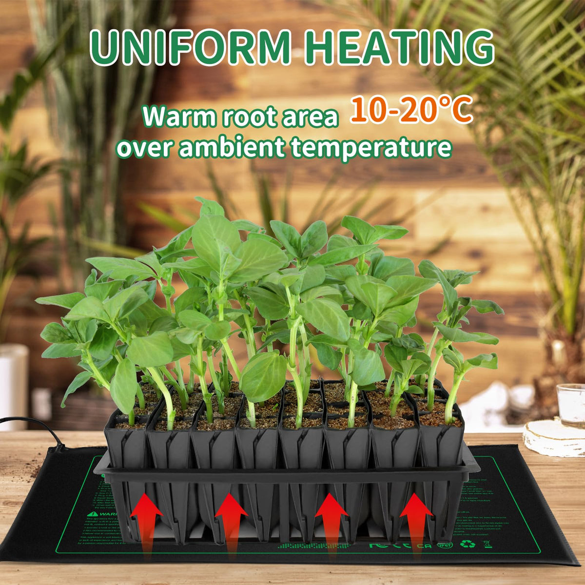 Nacaro Seedling Heat Mat 3-Pack under seed tray provides even warmth