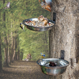 NACETURE bird feeder wall-mount with stainless steel bowl for easy bird watering
