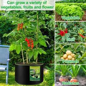 NACHLYNN indoors and outdoors use showcasing versatile gardening setup