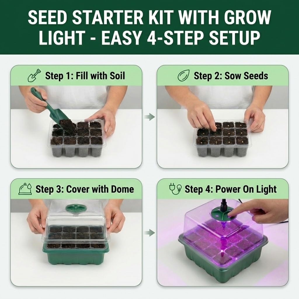 NACNO value-packed kit includes trays, bases, domes, lights, labels