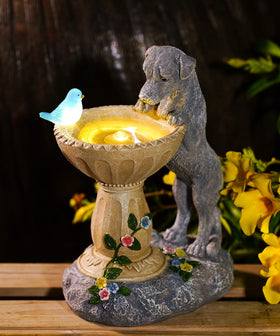 Nacome dog-bird led-detail highlights playful lighting along the bowl edge.
