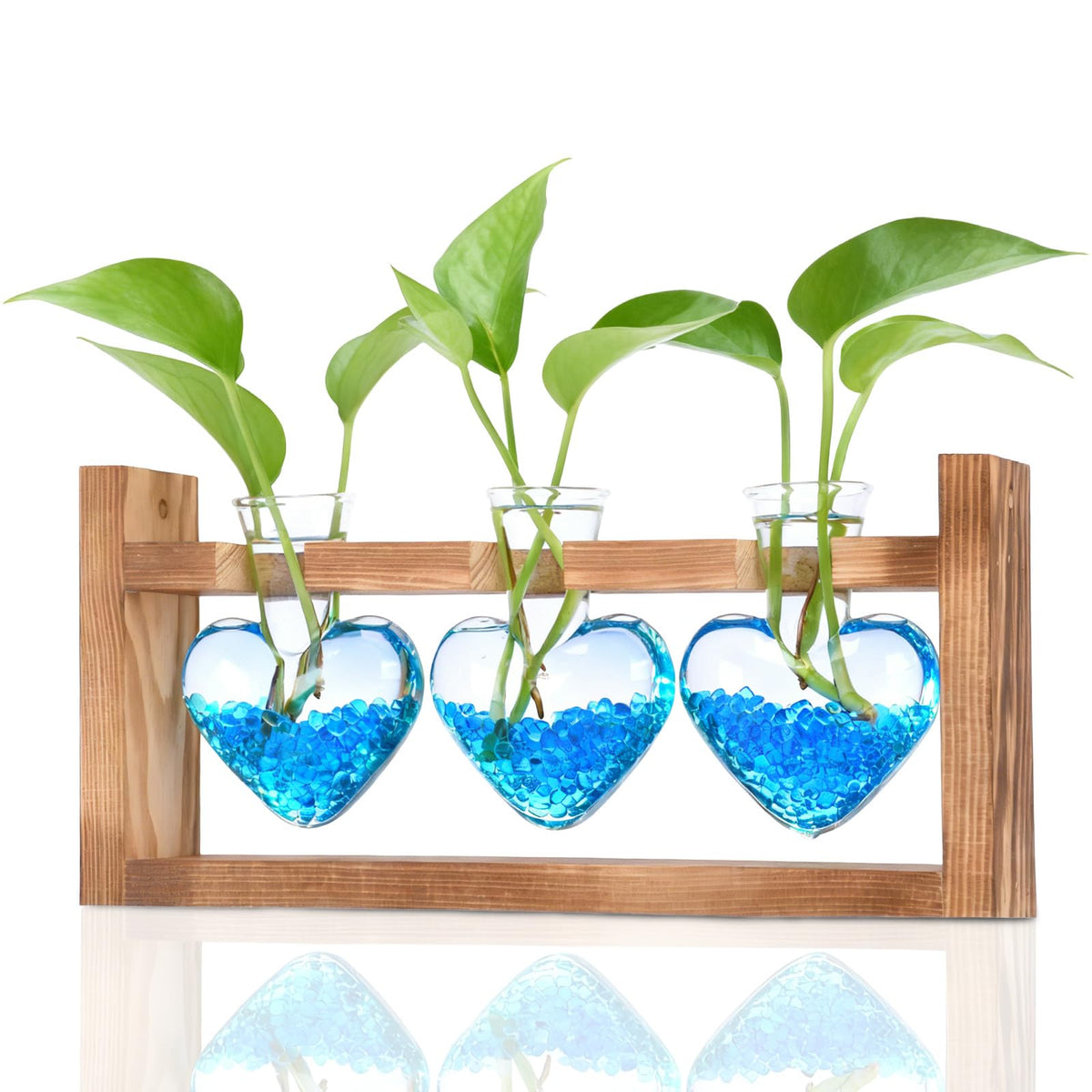 Nacome plant terrarium heart-shaped glass vase on wooden stand for elegant home decor.