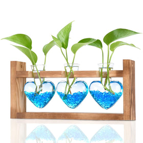 Nacome plant terrarium heart-shaped glass vase on wooden stand for elegant home decor.