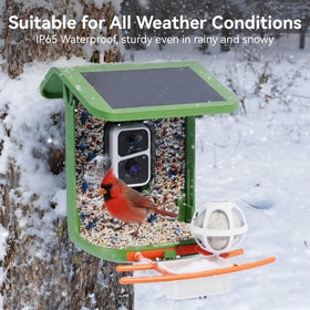 Nafnti bird feeder camera one point eight liter capacity close-up