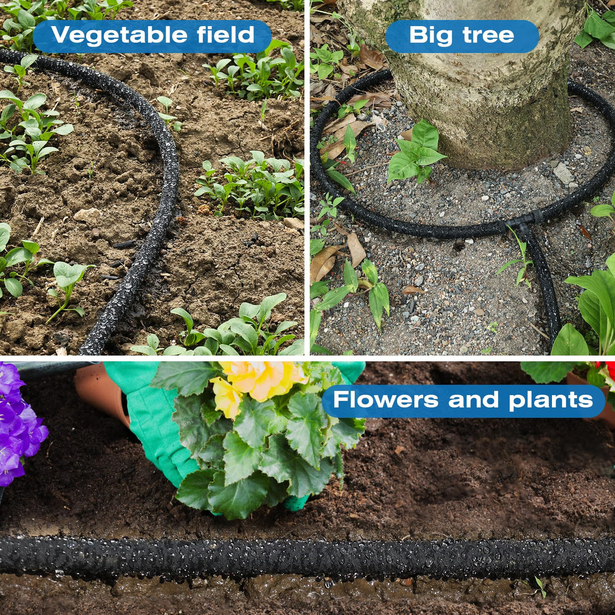 Naicet garden watering setup ideal for beds, lawns, and trees.