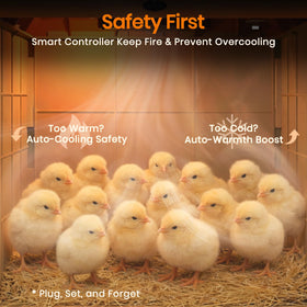 Nailrepro Inside brooder view highlighting safe heater placement in the coop.