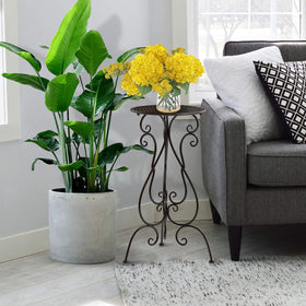 NAKUPE heavy-duty pedestal legs provide stable plant display