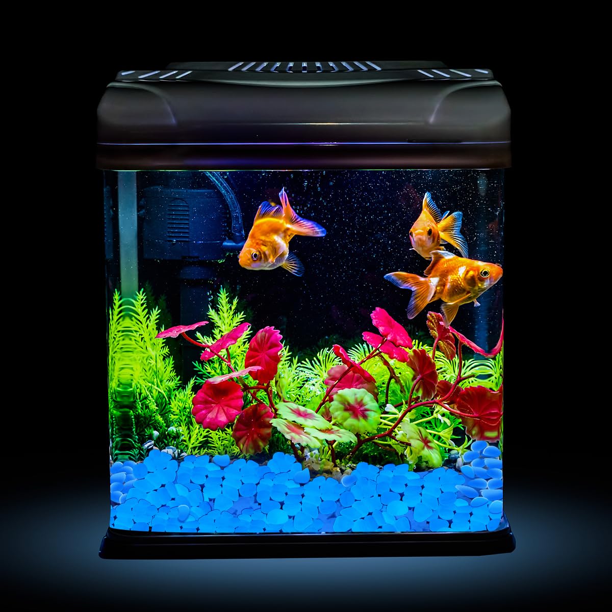 NAMTSO blue glow rocks create fairy garden magic with soft night light.