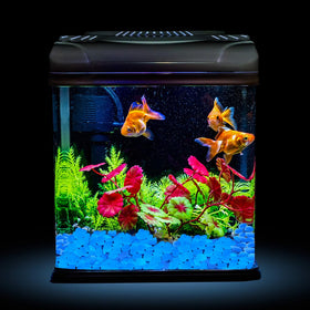 NAMTSO blue glow rocks create fairy garden magic with soft night light.