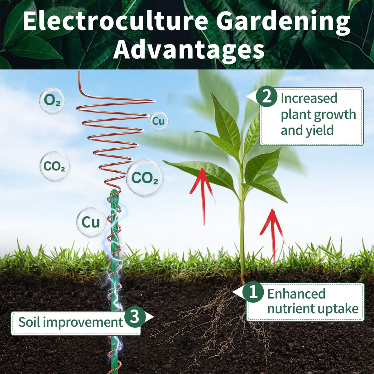 NAMTSO large cone spiral antenna for medium plants and soil vitality