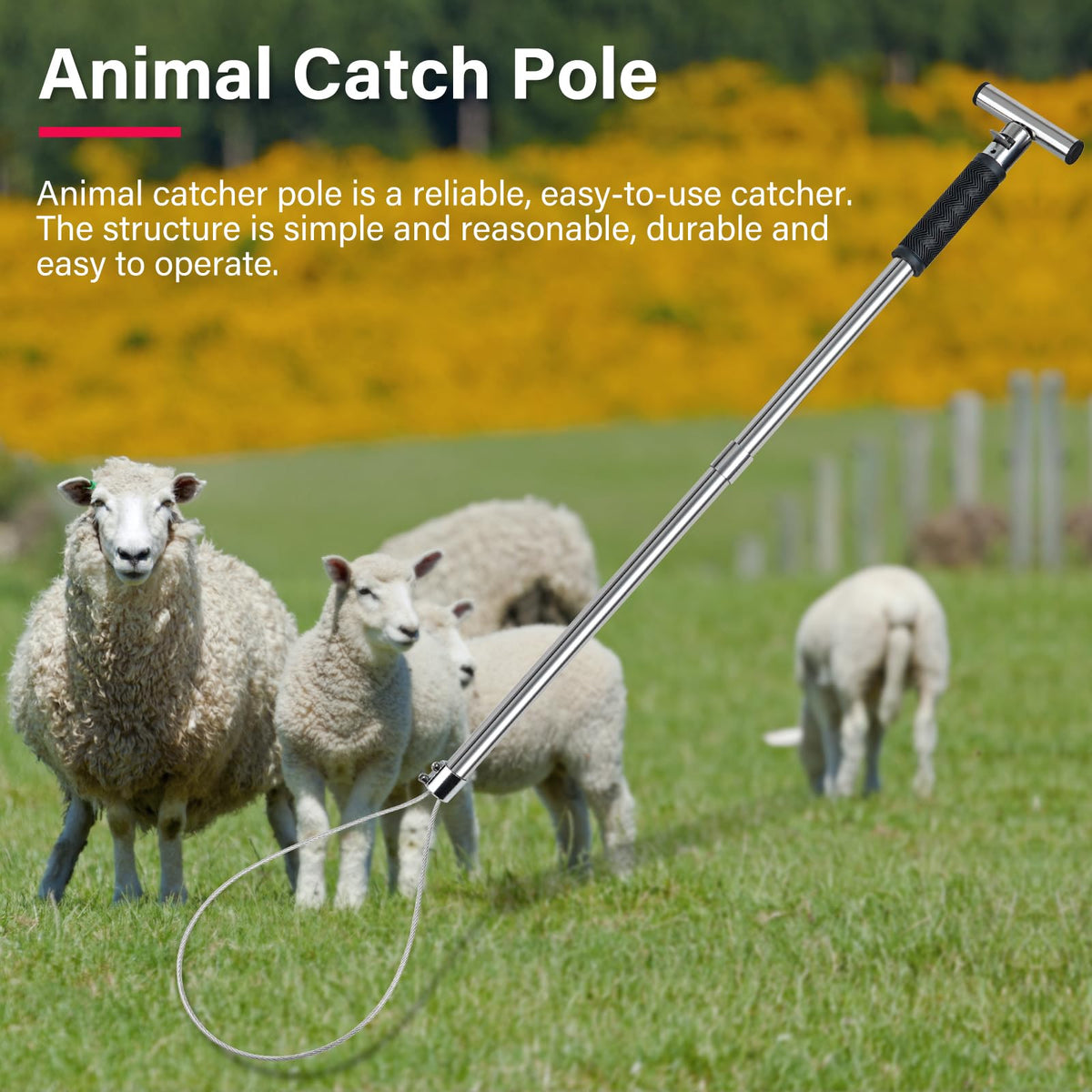 NAOEDEAH compression spring adjusts hook length for controlled use.