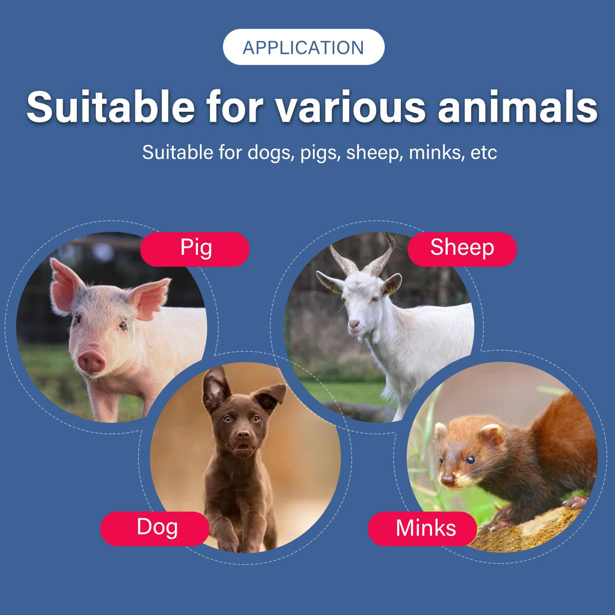 NAOEDEAH portable animal control pole ideal for livestock farm use.