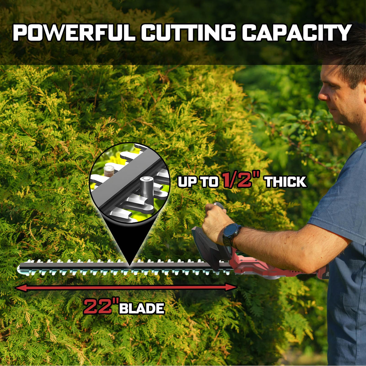 NAOKEV dual-action blades for clean cuts on dense shrubs.