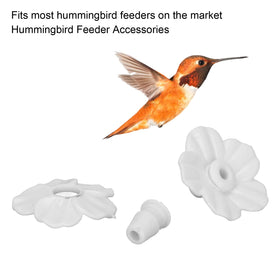 Naroote feeder flowers in colorful petals brighten gardens while attracting hummingbirds.