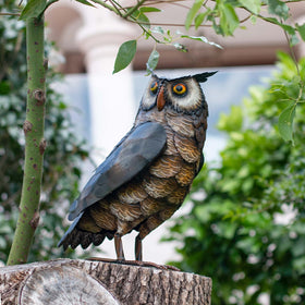 Natelf owl statue bathed in sunlight showcases vibrant color