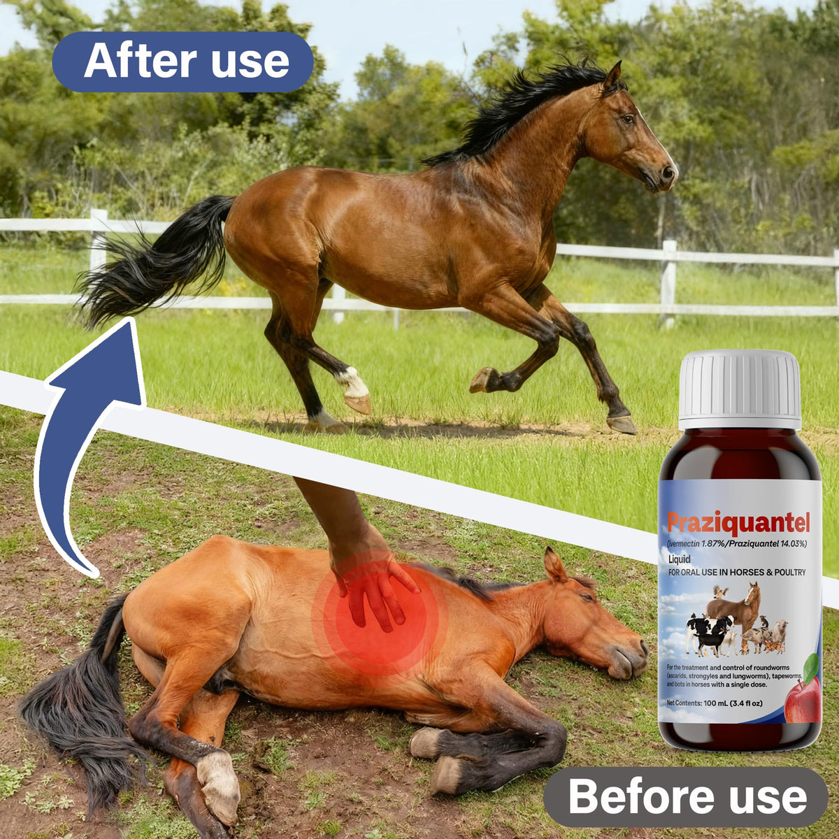 Liquid Praziquantel mixed with feed for simple daily dosing on farm