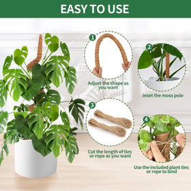NATSUKY indoor plant setup demonstrating vertical growth with poles.