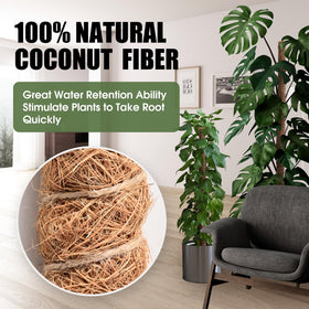 NATSUKY indoor plant support system keeps creepers upright