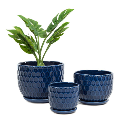 Nattol ceramic flower pot set with drainage and saucer for easy plant care.