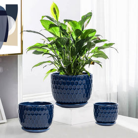 Nattol navy blue honeycomb texture close-up showing decorative planter detail for shelves.