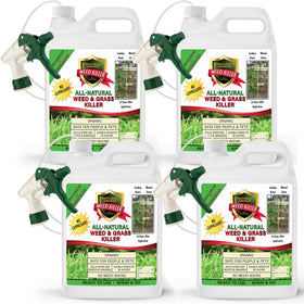 Natural Armor weed killer bottle close-up showing ready-to-use spray for fast control
