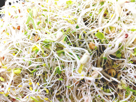 Natural Roots salad mix seeds USA-made label, ideal for home sprouting.