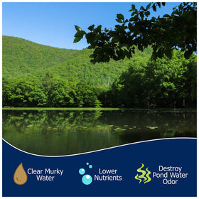 Natural Waterscapes lake and pond safe treatment improves wildlife-friendly pond environment.