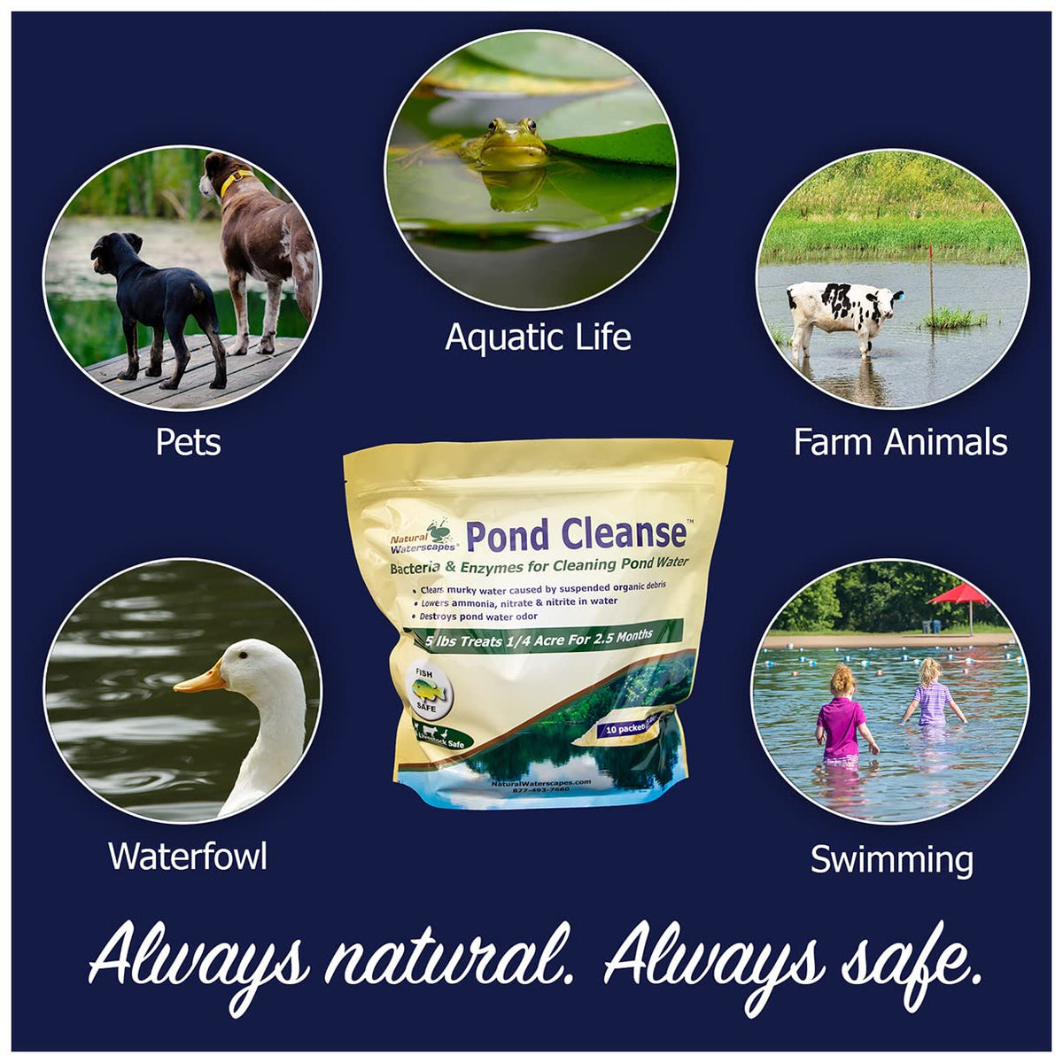 Natural Waterscapes odor elimination and debris breakdown for cleaner water.