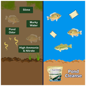 Natural Waterscapes safe pond care for lakes and farm ponds.