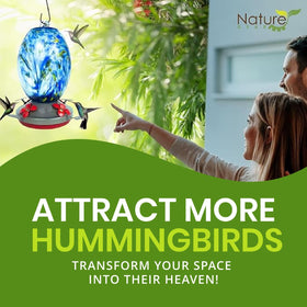 Nature Gear hummingbird feeder with ant moat closeup blocking ants while preserving nectar.
