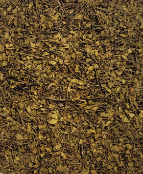 Naturejam Gobernadora leaves close-up for aromatic herbal blends.