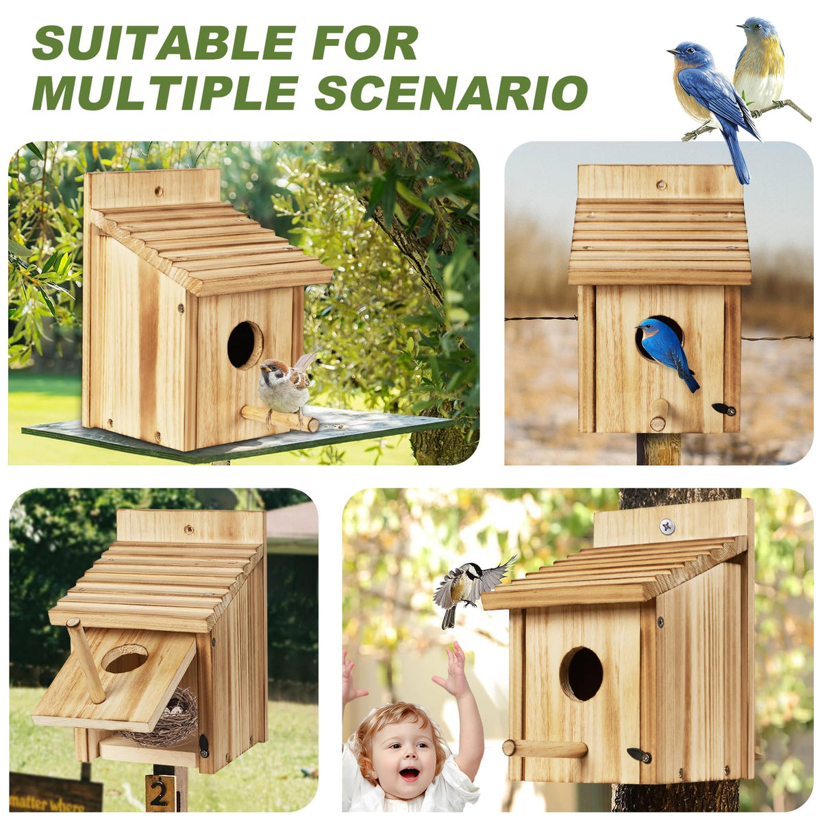 NATUREYLWL bluebird-friendly nesting box attracts small wild birds