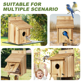 NATUREYLWL bluebird-friendly nesting box attracts small wild birds