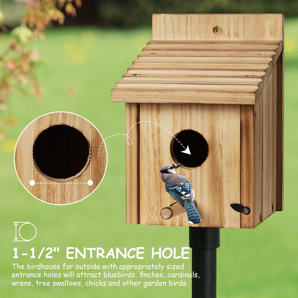 NATUREYLWL natural solid wood construction supports local wildlife