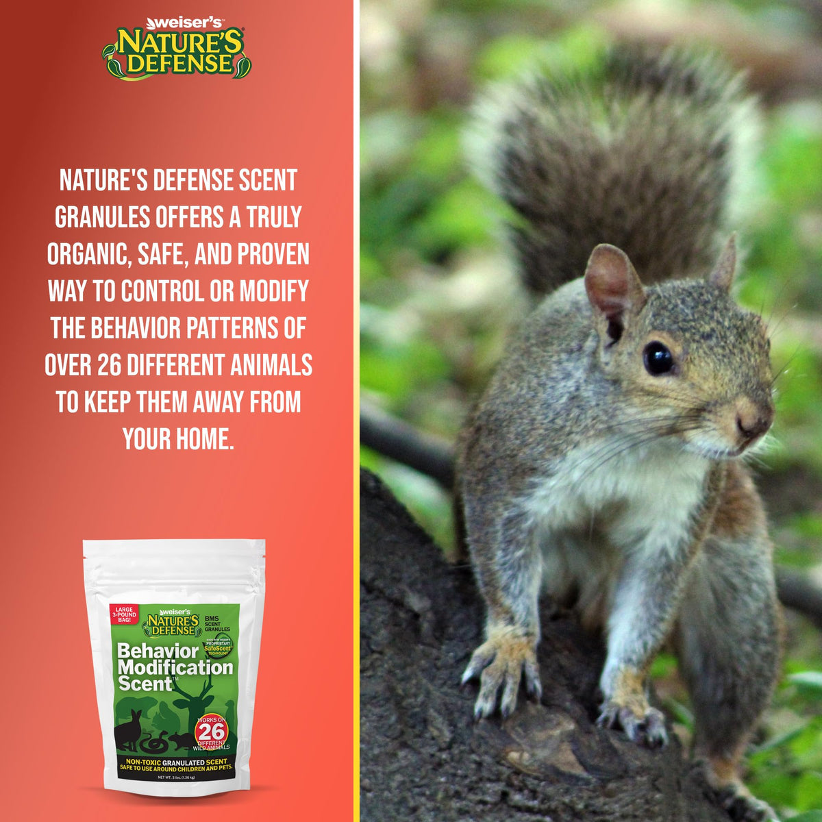 Nature's Defense deer and small pests repellents protect lawns and borders.