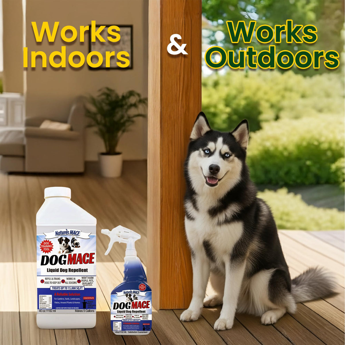Nature's MACE Dog Mace concentrate 40oz emphasizes cost-effective formulation.