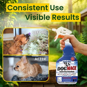 Nature's MACE Dog Mace plant-safe formula protects lawns and gardens.