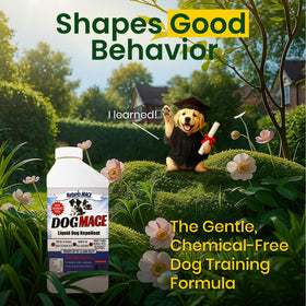 Nature's MACE Dog Mace spray application shows versatile indoor use on fabrics.