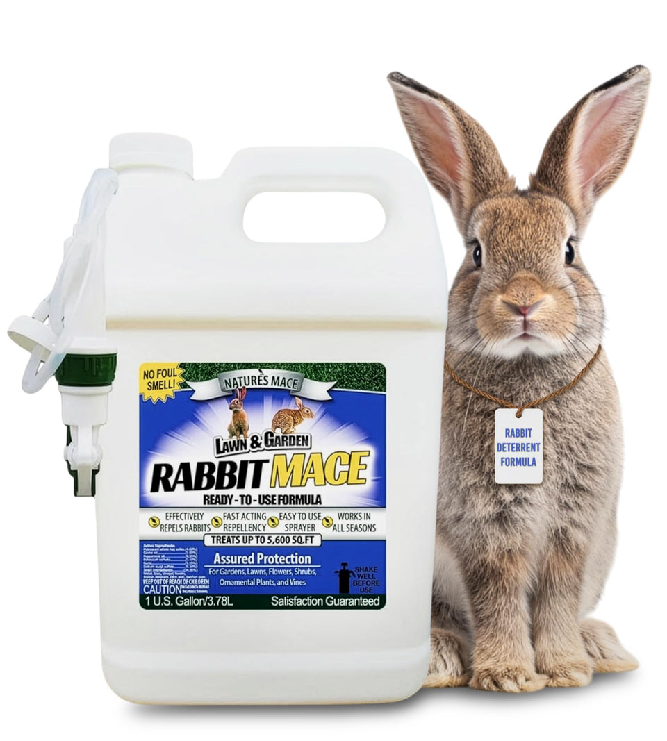 Nature's MACE Rabbit MACE bottle closeup showing ready-to-use garden protection.