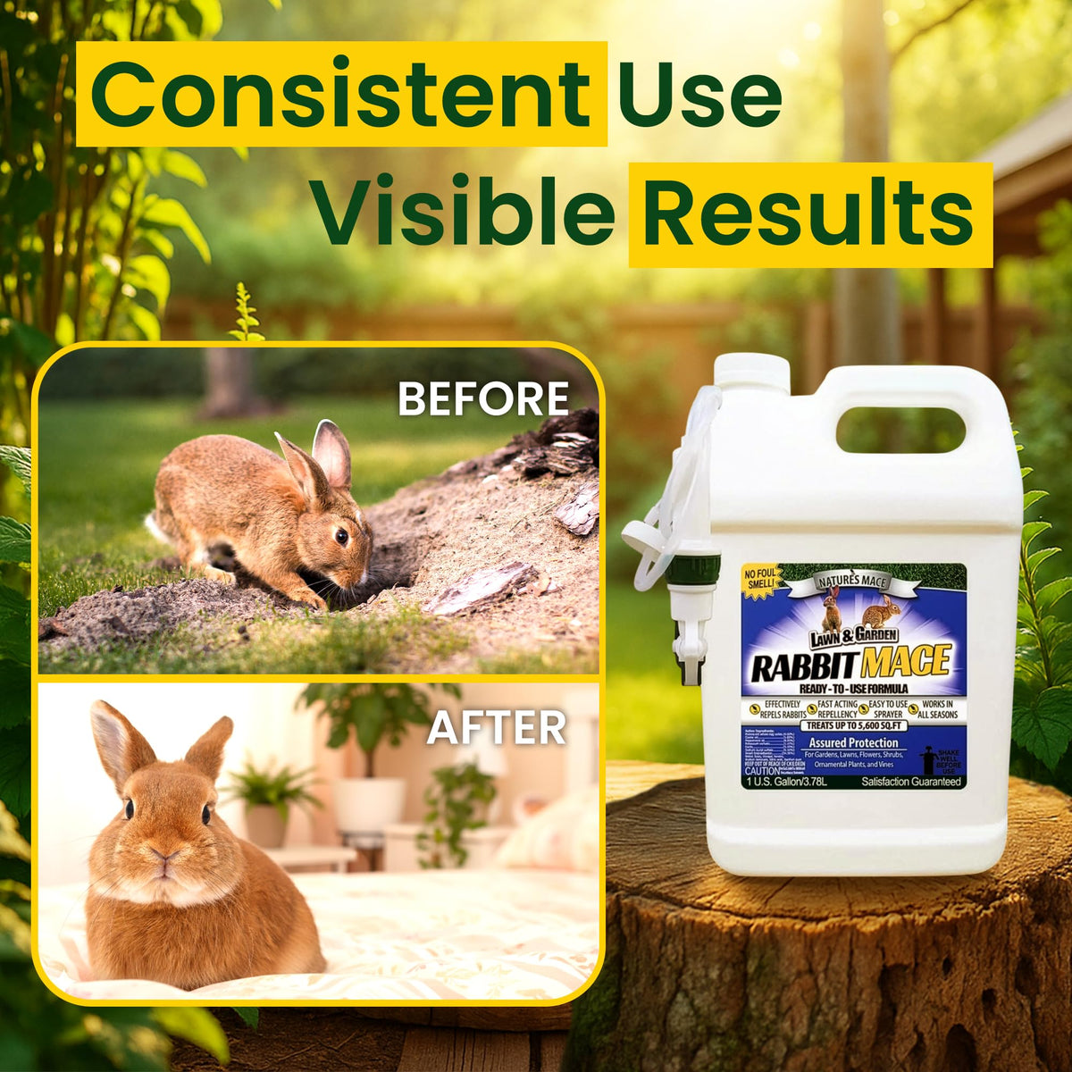 Nature's MACE drying time shows quick dry after spray on soil and plants.