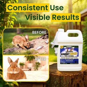 Nature's MACE drying time shows quick dry after spray on soil and plants.