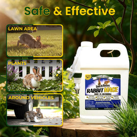 Nature's MACE mint scent coverage shows pet-safe rabbit deterrence in action.