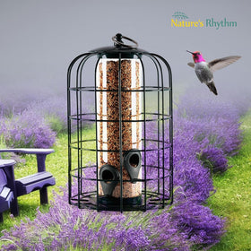 Nature's Rhythm backyard feeder on a hook invites birds to visit.