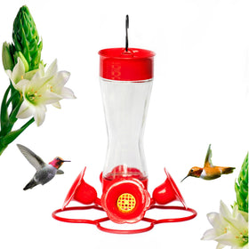Nature's Rhythm hummingbird feeder front view with four red ports attracting hummingbirds.